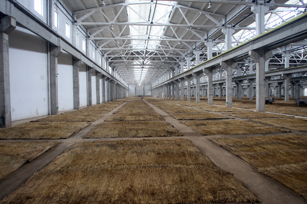 古井貢酒的品質“守護神”