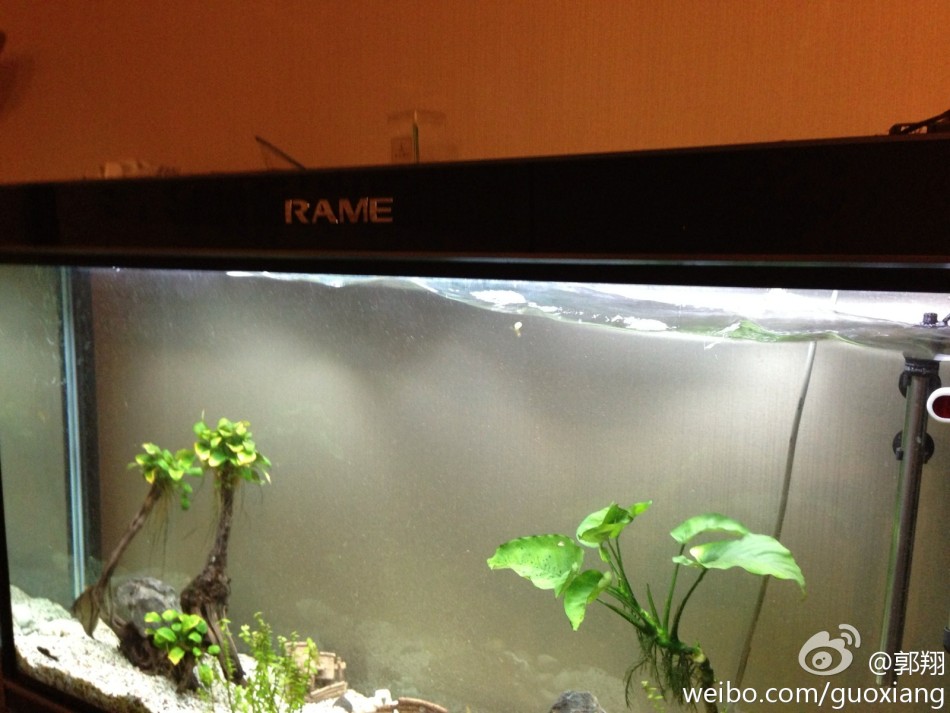 甘肅岷縣漳縣交界發(fā)生6.6級(jí)地震[組圖]