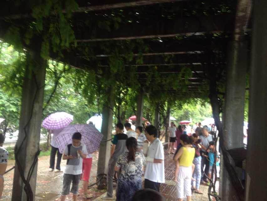 甘肅岷縣漳縣交界發生6.6級地震[組圖]