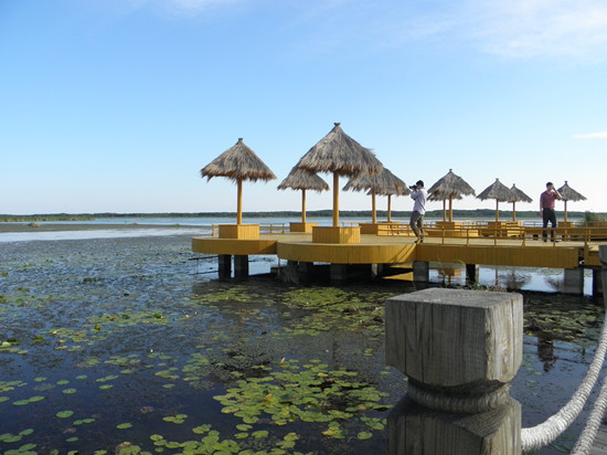 專(zhuān)項(xiàng)資金治理興凱湖 還動(dòng)物一個(gè)更美的家(圖)