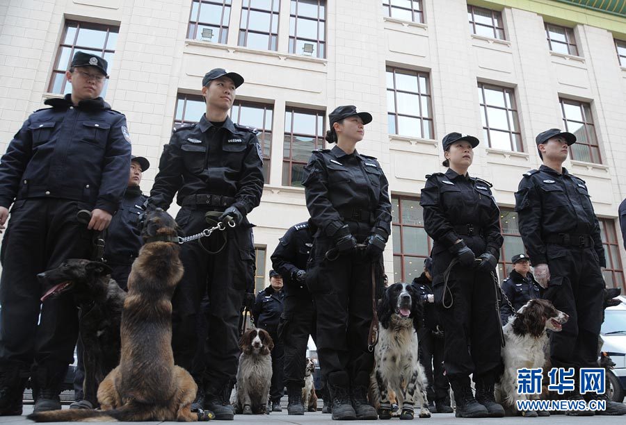 警犬“助陣”兩會安保工作:大會堂內細致檢查