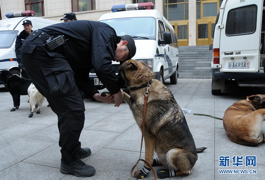 警犬“助陣”兩會安保工作:大會堂內細致檢查