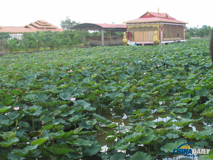云南瑞麗“一寨兩國” 中緬兩國人民村寨相依 共飲一井水