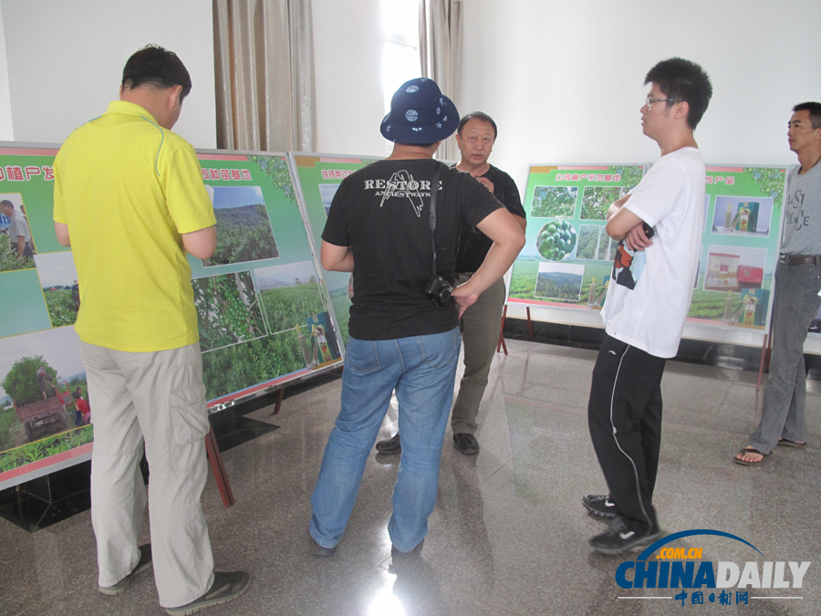 云南德宏盈江 “中國堅果之鄉”