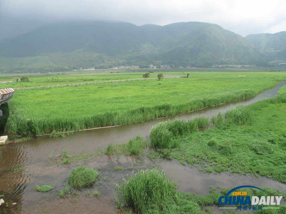 走進騰沖北海濕地 體驗“人在畫中游”的美景