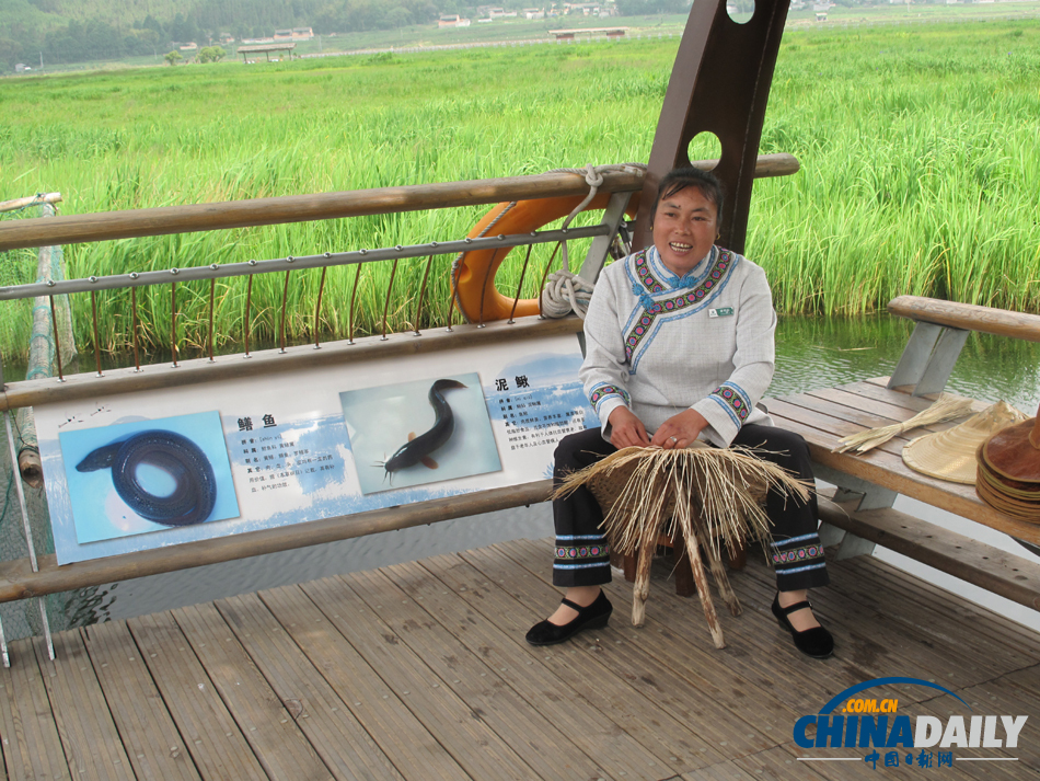 走進騰沖北海濕地 體驗“人在畫中游”的美景
