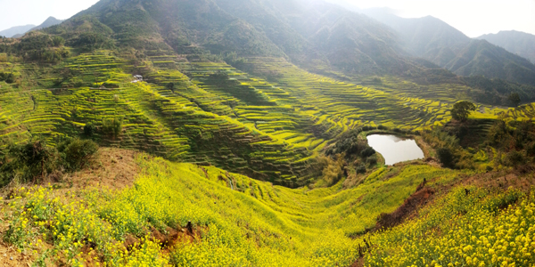 婺源：中國最美鄉村