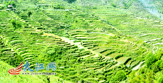 油菜花不能代表婺源全部 篁嶺將成婺源第2代旅游產(chǎn)品