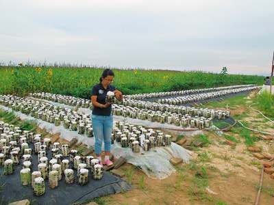 趙鑫娥：田野追夢(mèng) 青春放歌