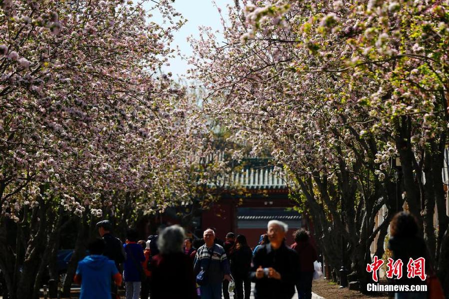 北京民眾踏春品寒食