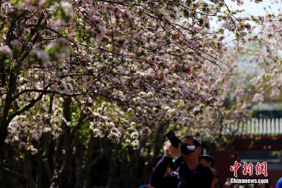 北京民眾踏春品寒食