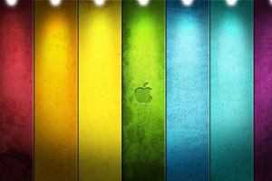 曬曬你的年終獎：山東一售樓小姐獲500萬