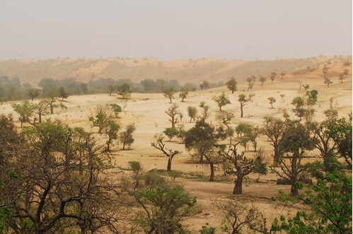 云南探險(xiǎn)家穿越非洲撒哈拉