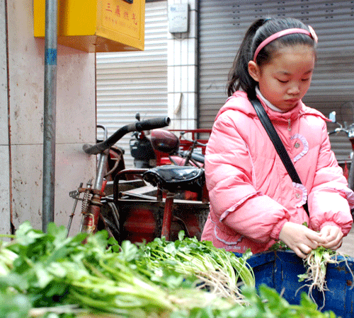 湊起壓歲錢做本 小學(xué)生當(dāng)菜販體驗(yàn)生活