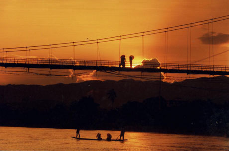 中科院西雙版納熱帶植物園暑期開展科普旅游優惠活動