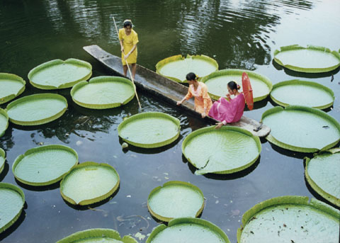 中科院西雙版納熱帶植物園暑期開展科普旅游優惠活動