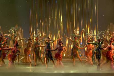 看《蝴蝶之夢》圓蝴蝶之夢