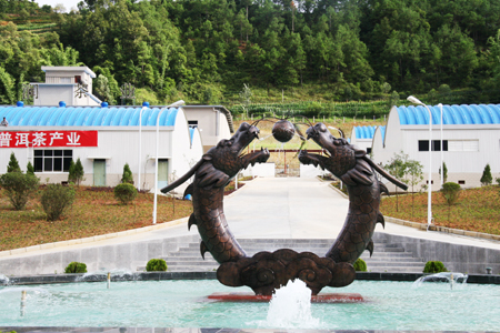 龍潤茶香港上市：打造中國茶第一品牌