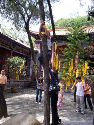 云南大姚千名學生吟誦論語