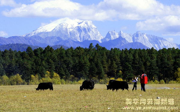 深秋秘境香格里拉[多圖]