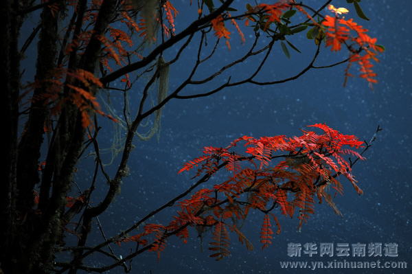 深秋秘境香格里拉[多圖]