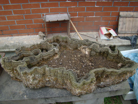 興文：這個“花盆”好奇特（圖）