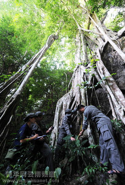 西雙版納全力保護(hù)北回歸線(xiàn)唯一綠洲