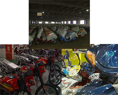 電摩新國(guó)標(biāo)使2400余電動(dòng)自行車(chē)廠家面臨關(guān)停