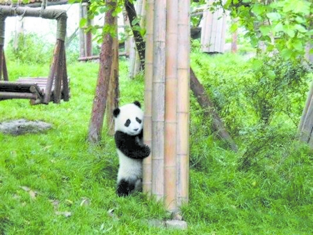 哥看的不是天空 是寂寞！