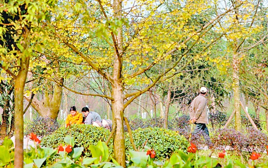 北部新區將建公共綠地54個