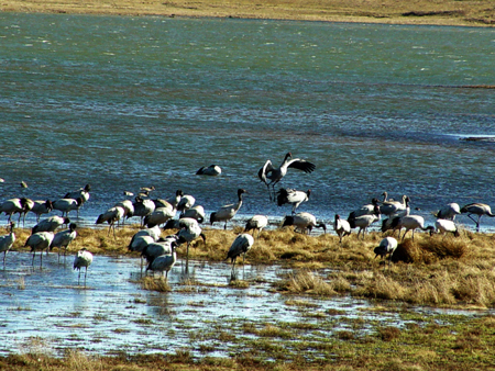 云南大山包的高原凈土