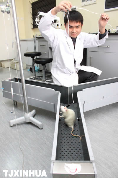 天津神經工程研究中心成立