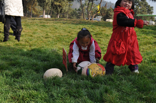元旦三天假 云南野生動(dòng)物園奇珍你拿