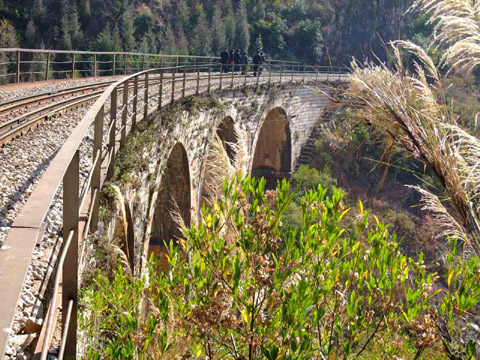 金飛豹日記：火燒滇越鐵路