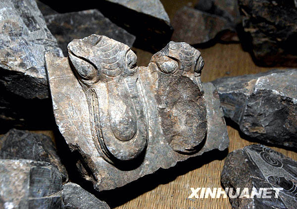 考古專家團在安陽考察“曹操墓”