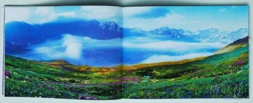 中國(guó)攝影金像獎(jiǎng)涉嫌剽竊得主遭免職