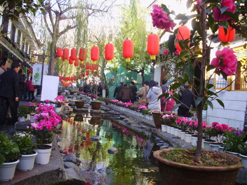 70多名留學生歡聚大理花博會