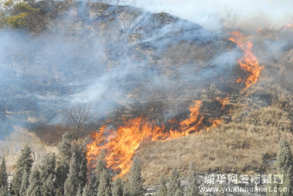 云南曲靖撲滅突發山火
