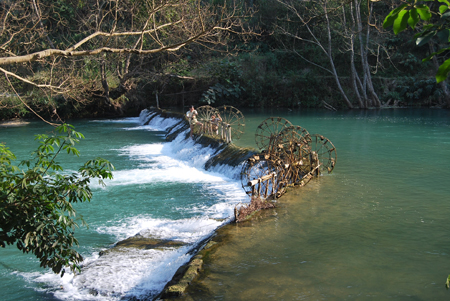 滿城盡鋪黃金花——親歷2010羅平油菜花節
