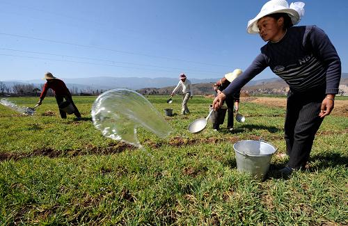 干旱造成云南490萬人飲水困難