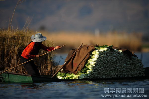 高原水鄉(xiāng)西湖 世外桃源如畫[多圖]