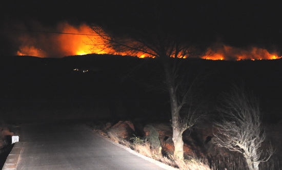 云南石林發生森林火災3天未被撲滅(組圖)