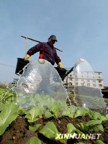 都市田園春色濃