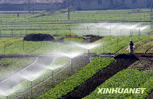 都市田園春色濃
