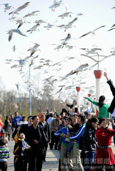 春節黃金周云南共接待游客520多萬人次