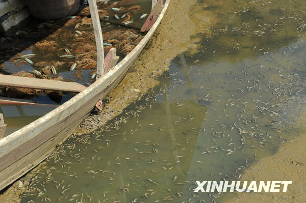 中國15省區遭遇干旱侵襲 云貴川藏青5省重旱