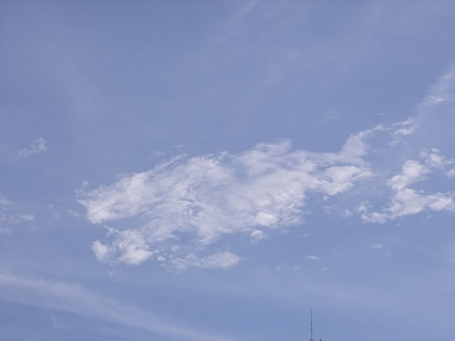 彩云南的奇云圖：龍獅并走賀新春（圖）