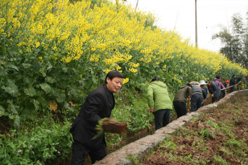 江安干部群眾義務清渠