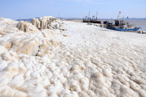 大連海域大風卷流冰上岸