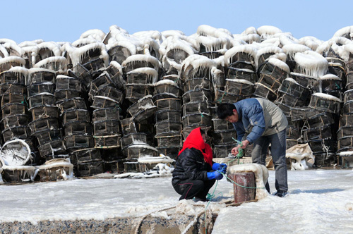 大連海域大風卷流冰上岸